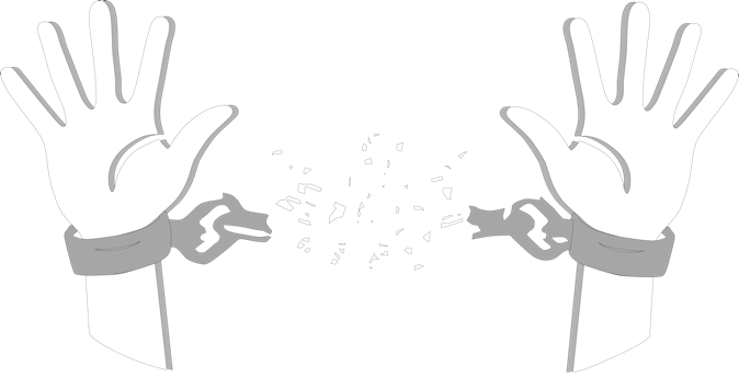 Police For Freedom logo